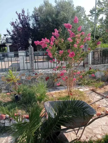 Οικιστικό 500τ.μ. προς πώληση φωτογραφία 6