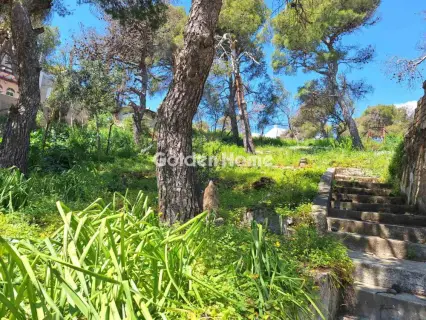 Οικιστικό 390τ.μ. προς πώληση φωτογραφία 1