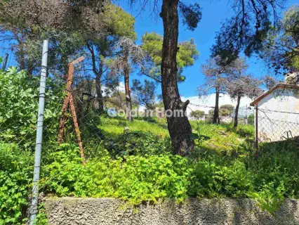 Οικιστικό 390τ.μ. προς πώληση φωτογραφία 2