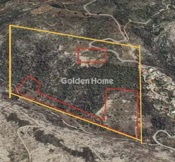 Αγροτεμάχιο 48000τ.μ. προς πώληση φωτογραφία 11