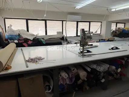 Βιομηχανικός - Βιοτεχνικός Χώρος 228τ.μ. προς πώληση φωτογραφία 5341691