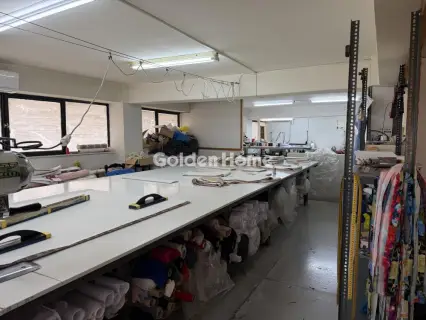 Βιομηχανικός - Βιοτεχνικός Χώρος 228τ.μ. προς πώληση φωτογραφία 5341692