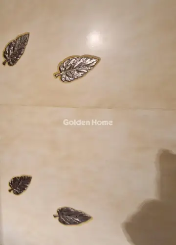 Οροφομεζονέτα 175τ.μ. προς πώληση φωτογραφία 25