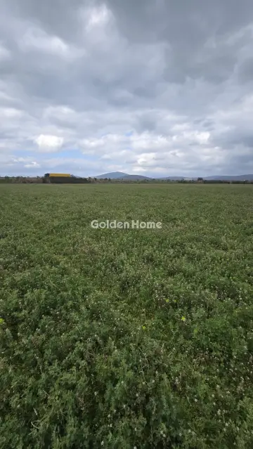 Οικιστικό 55τ.μ. προς πώληση φωτογραφία 5348585