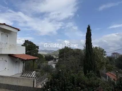 Μονοκατοικία 170τ.μ. προς πώληση φωτογραφία 69