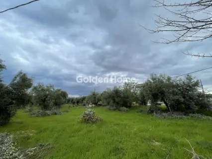 Οικιστικό 962τ.μ. προς πώληση φωτογραφία 5344517