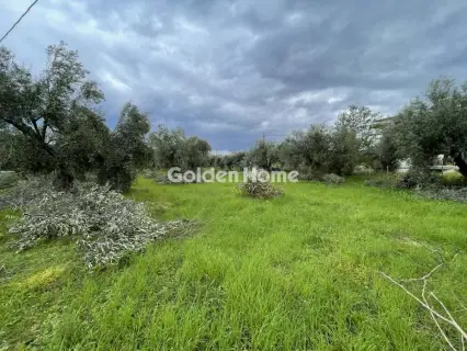 Οικιστικό 962τ.μ. προς πώληση φωτογραφία 5344518