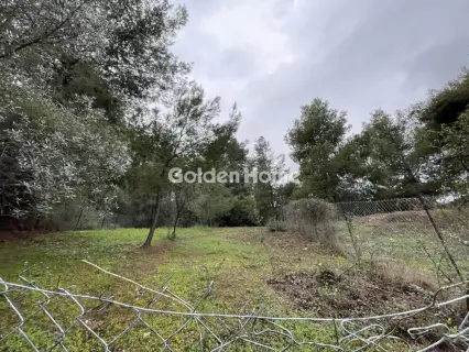 Αγροτεμάχιο 277τ.μ. προς πώληση φωτογραφία 5345291