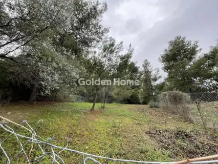 Αγροτεμάχιο 277τ.μ. προς πώληση φωτογραφία 5345292