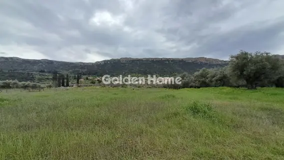 Residential 2182m<sup>2</sup> for sale photo 8