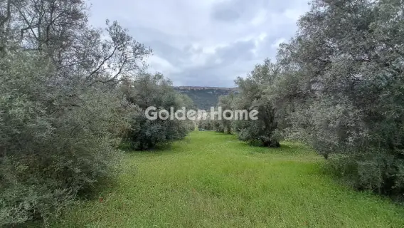 Residential 2182m<sup>2</sup> for sale photo 1