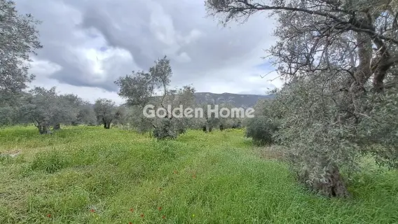 Residential 2182m<sup>2</sup> for sale photo 7