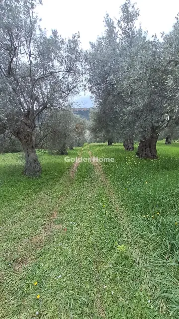 Residential 2182m<sup>2</sup> for sale photo 2