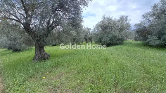 Residential 2182m<sup>2</sup> for sale photo 3