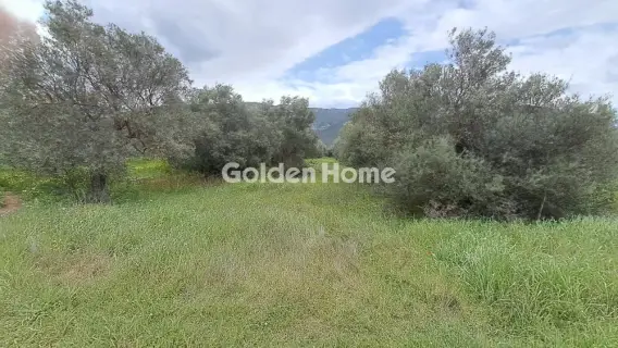 Residential 2182m<sup>2</sup> for sale photo 4