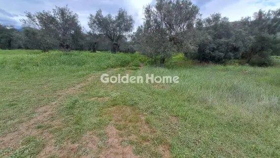 Residential 2182m<sup>2</sup> for sale photo 5