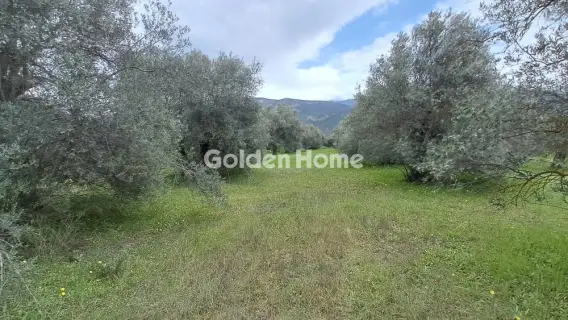 Residential 2182m<sup>2</sup> for sale photo 6