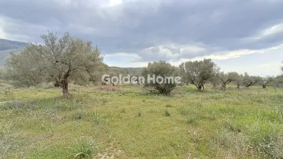 Industrial 2584m<sup>2</sup> for sale photo 19