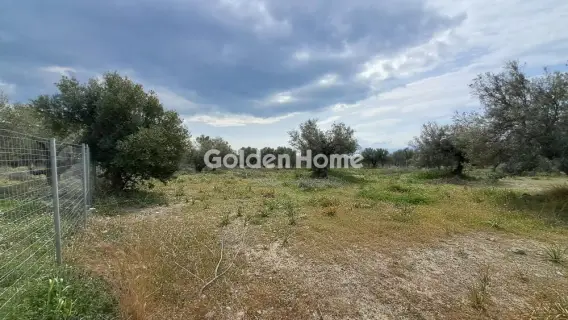 Industrial 2584m<sup>2</sup> for sale photo 20