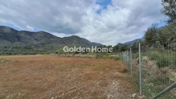 Industrial 2584m<sup>2</sup> for sale photo 21