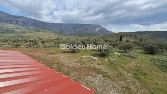 Industrial 2584m<sup>2</sup> for sale photo 5