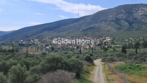 Industrial 2584m<sup>2</sup> for sale photo 2