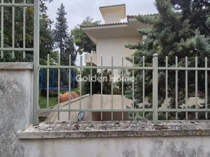 Αποθήκη 264τ.μ. προς πώληση φωτογραφία 5346143