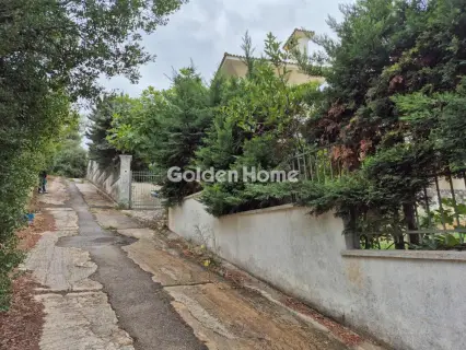 Αποθήκη 264τ.μ. προς πώληση φωτογραφία 5346147