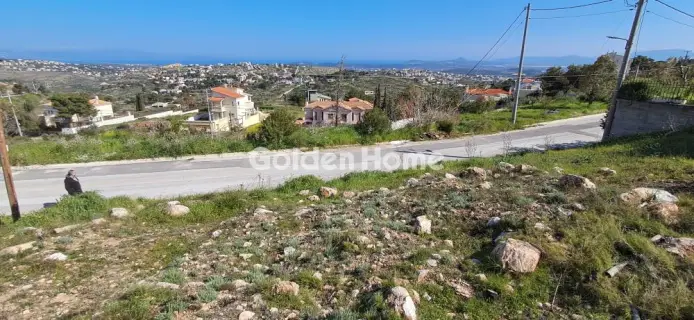 Residential 730m<sup>2</sup> for sale photo 5434813
