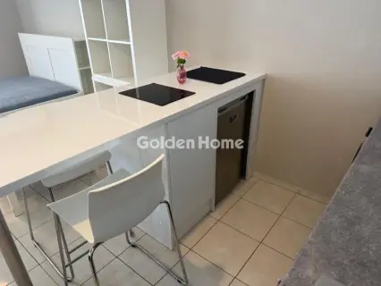 Studio 30m<sup>2</sup> for rent photo 5405559