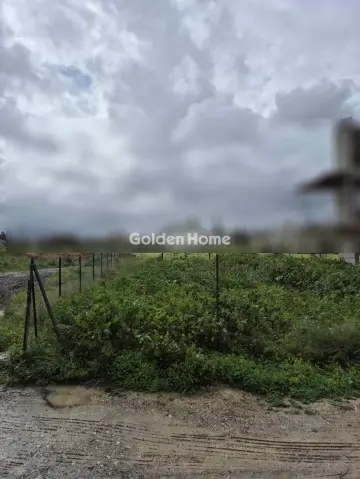 Residential 243m<sup>2</sup> for sale photo 5358004