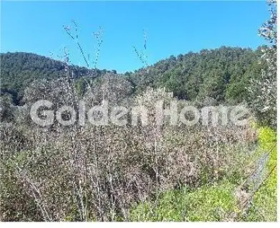 Αγροτεμάχιο 4325τ.μ. προς πώληση φωτογραφία 5346848