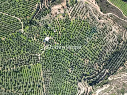 Parcel 170000m<sup>2</sup> for sale photo 5392453