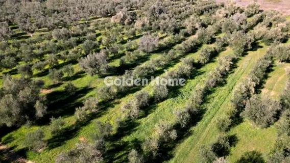 Parcel 170000m<sup>2</sup> for sale photo 5392453