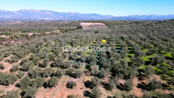 Parcel 170000m<sup>2</sup> for sale photo 5392454