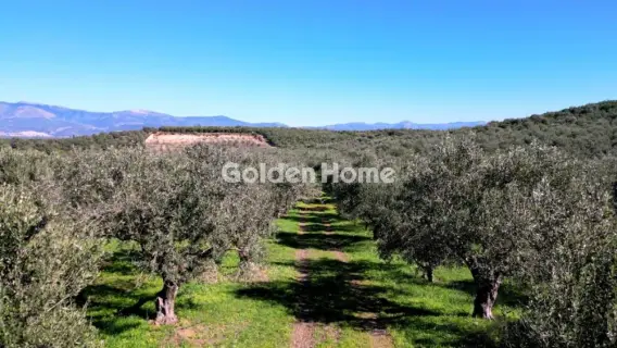 Parcel 170000m<sup>2</sup> for sale photo 5392454