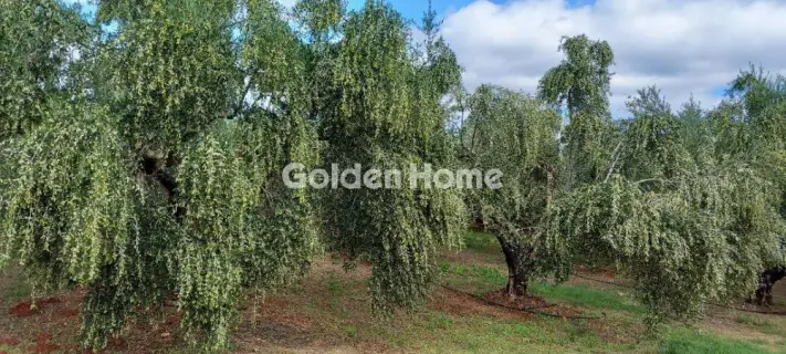 Parcel 170000m<sup>2</sup> for sale photo 5392454