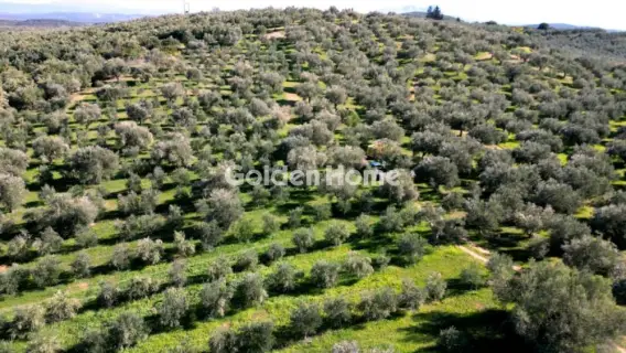 Parcel 170000m<sup>2</sup> for sale photo 5392454