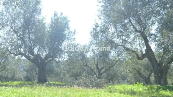 Parcel 170000m<sup>2</sup> for sale photo 5392454