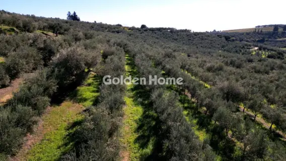 Parcel 170000m<sup>2</sup> for sale photo 5392454