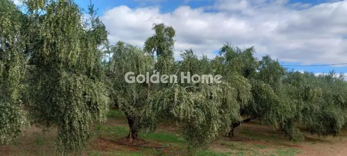 Parcel 170000m<sup>2</sup> for sale photo 5392455