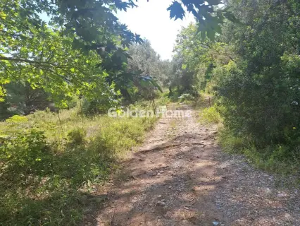 Αγροτεμάχιο 34477τ.μ. προς πώληση φωτογραφία 5346910