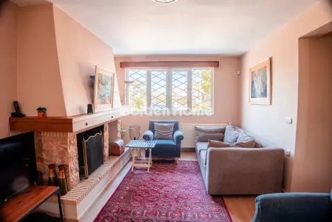 Μονοκατοικία 350τ.μ. προς πώληση φωτογραφία 5347979