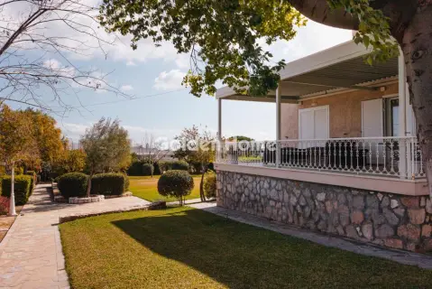 Μονοκατοικία 350τ.μ. προς πώληση φωτογραφία 5347945