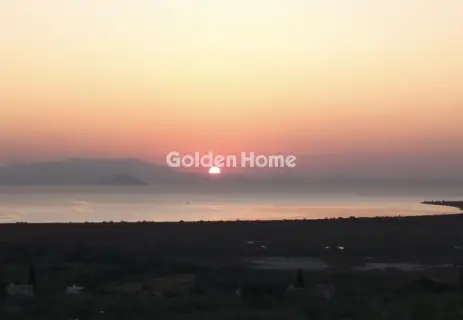 Οικιστικό 2942τ.μ. προς πώληση φωτογραφία 5348879