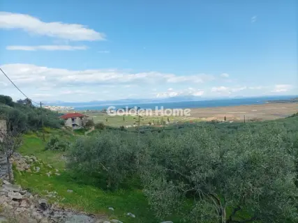 Οικιστικό 2942τ.μ. προς πώληση φωτογραφία 5348881