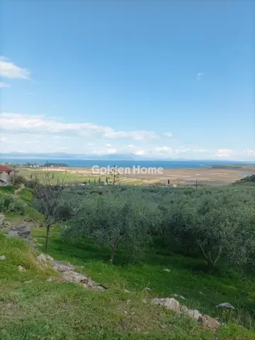 Residential 2942m<sup>2</sup> for sale photo 5348880