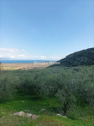 Οικιστικό 2942τ.μ. προς πώληση φωτογραφία 5348882