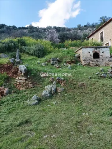 Οικιστικό 2942τ.μ. προς πώληση φωτογραφία 5348884