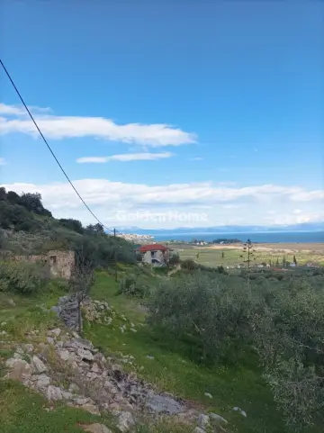Οικιστικό 2942τ.μ. προς πώληση φωτογραφία 5348885